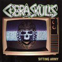 Anybody Scene My Cobra? - Cobra Skulls