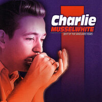 Gone And Left Me - Charlie Musselwhite