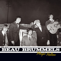 You've Got to Hide Your Love Away - The Beau Brummels