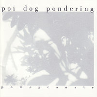 Pomegranate - Poi Dog Pondering