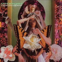 Everything Goes Away - Oranger