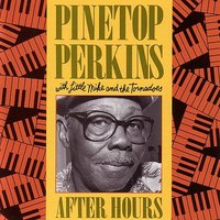 Every Day I Have The Blues - Pinetop Perkins