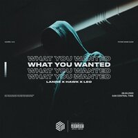 What You Wanted - LANNÉ, HÄWK