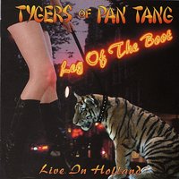 Insanity - Tygers Of Pan Tang