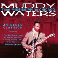 Country Blues #1 - Muddy Waters