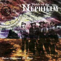 Back in Gehenna - Fields of the Nephilim