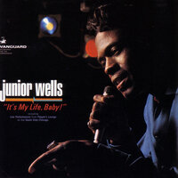 Stormy Monday Blues - Junior Wells