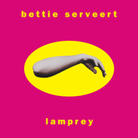 Something So Wild - Bettie Serveert