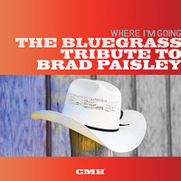 Whiskey Lullaby - Pickin' On Series, Brad Davis