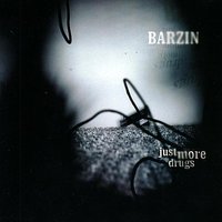 Just More Drugs - Barzin