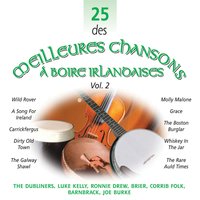 Song for Ireland - The Dubliners