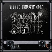 Next of Kin to Chaos - Napalm Death