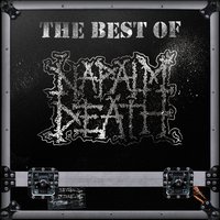 Breed to Breathe - Napalm Death