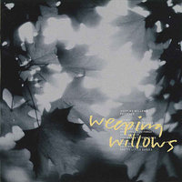 You Weren't Even Close - Weeping Willows