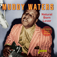 Got My Mojo Working (Part Two) - Muddy Waters