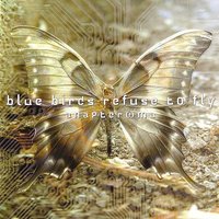 Play With Me - Blue Birds Refuse To Fly