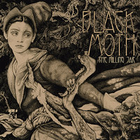 Blind Faith - Black Moth