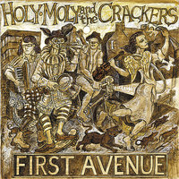 Comfort In Lies - Holy Moly & The Crackers