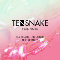 See Right Through - Tensnake, Fiora, Marco Niemerski