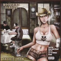 Moonshine - Moonshine Bandits, Danny Boone (Rehab)