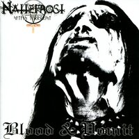 Satanic Victory - Nattefrost