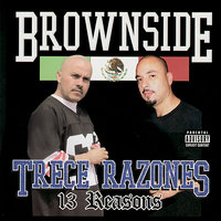 Bald and Brown - Wicked, Brownside, Toker