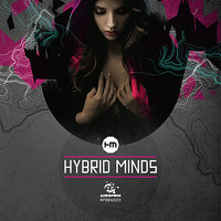 Lost - Hybrid Minds