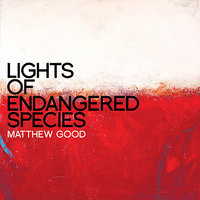 Lights of Endangered Species - Matthew Good