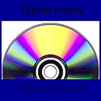 Why I Bother - Tupelo Honey