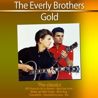 Hey, Doll Baby! - The Everly Brothers