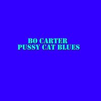 Who's Been Here - Bo Carter