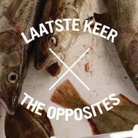 Laatste Keer - The Opposites, Mike Mago