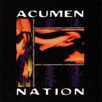 Mister Sandman I Am - Acumen Nation