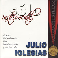 Un Sentimental - Julio Iglesias