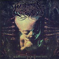 Welcome To Sludge City - Annotations Of An Autopsy