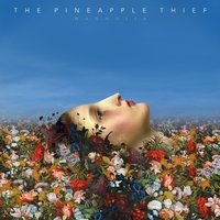 Sense of Fear - The Pineapple Thief