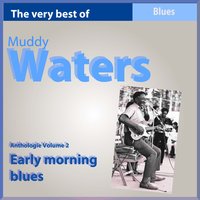 Where's My Woman Been ? - Muddy Waters