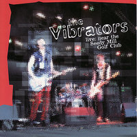 Hot for You - The Vibrators