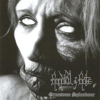 Spawn of Decadence - Handful of Hate