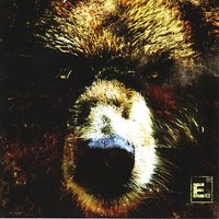 Boars - Element Eighty