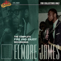 Going Back Home Again - Elmore James