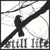 Sweet Demise - Still Life