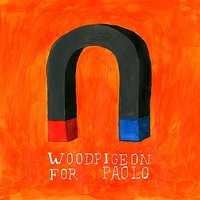 For Paolo - Woodpigeon