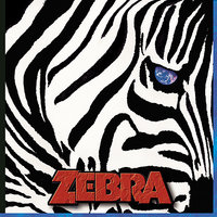 KK Is Hiding - Zebra