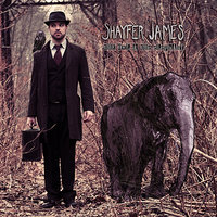 Grind My Bones - Shayfer James