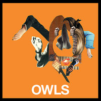 I Want The Quiet Moments Of A Party Girl - Owls