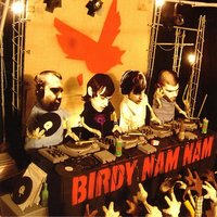 Body, Mind, Spirit... - Birdy Nam Nam