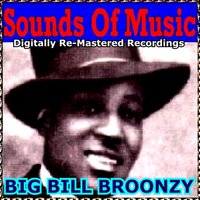 Too Too Train Blues - Big Bill Broonzy