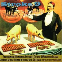 Shake Yo Booty - Stroke 9
