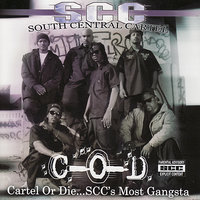 Bring It On - South Central Cartel